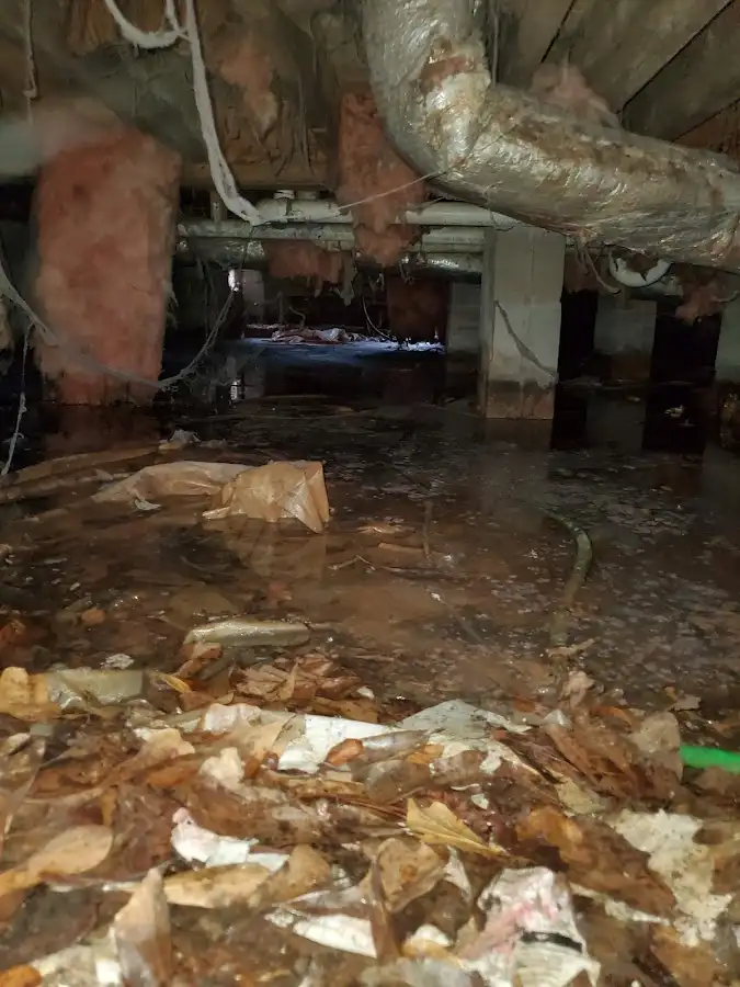 Crawl space flood assessment for Leak Detection & Repair in Country Club Hills